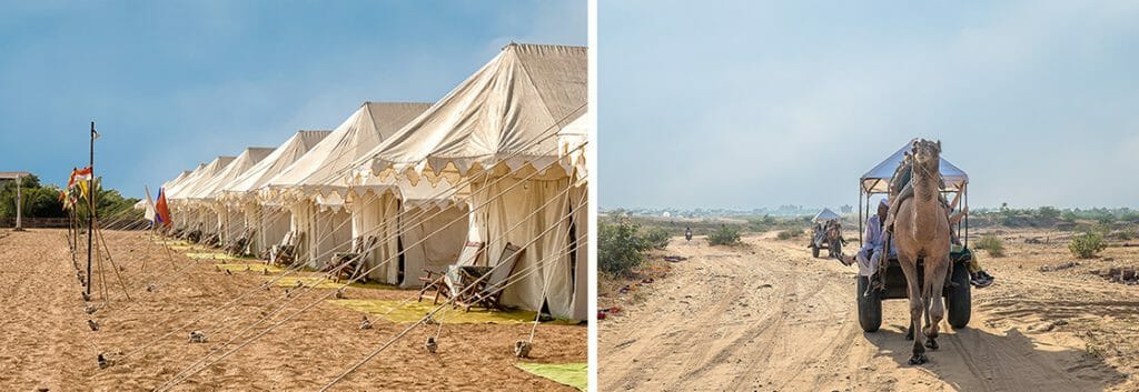 tents of the Pushkar camp and two camel-chaises